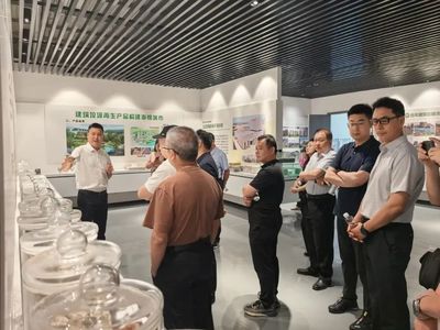 攜手并進，共繪綠色未來——記麗水市生態文明促進會專家團蒞臨天造環保調研指導